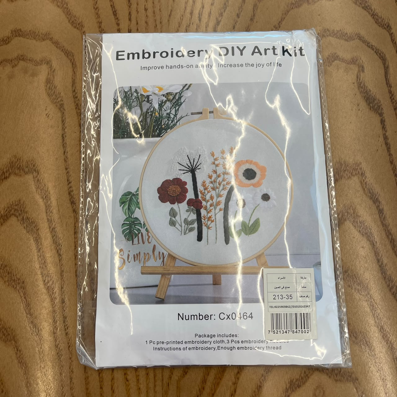 Embroidery DIY Art Kit