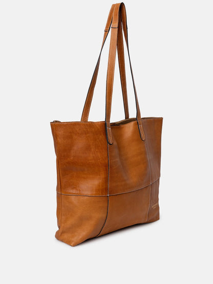 RE-DESIGNED PROJECT 19-P019